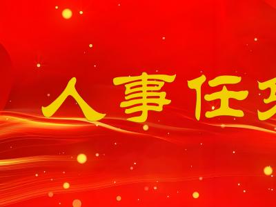 南充市人大常委会人事任免名单