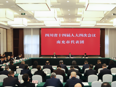罗强参加四川省第十四届人民代表大会第四次会议南充市代表团审议