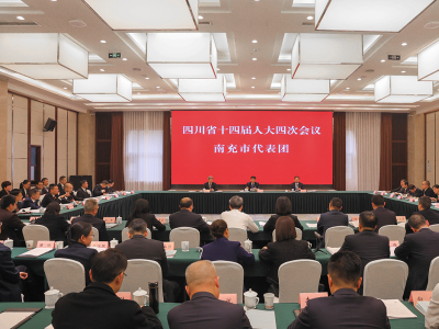 四川省第十四届人民代表大会第四次会议南充市代表团审议各项工作报告