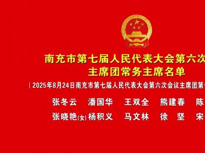 南充市第七届人民代表大会第六次会议主席团常务主席名单
