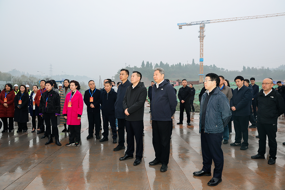 国省人大代表集中视察南充经济社会发展情况