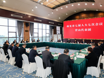 市七届人大七次会议进行分团审议