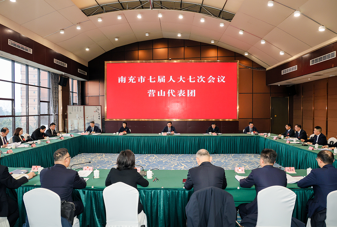 张冬云参加市七届人大七次会议营山代表团审议