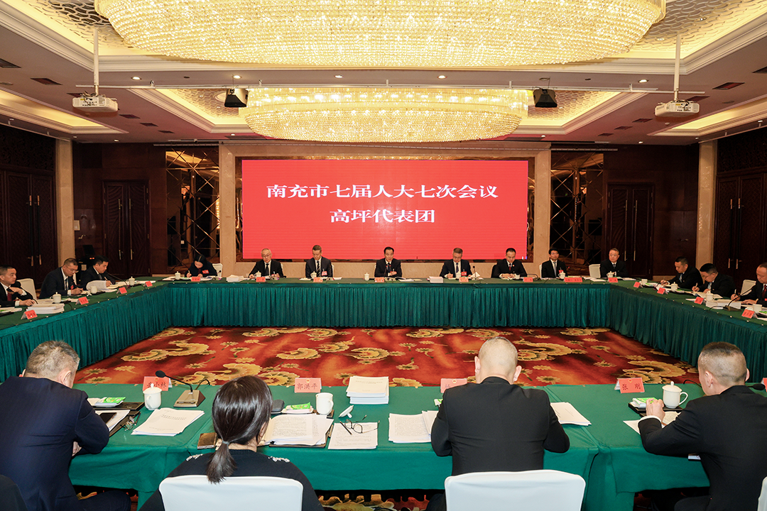 黄志权参加市七届人大七次会议高坪代表团审议