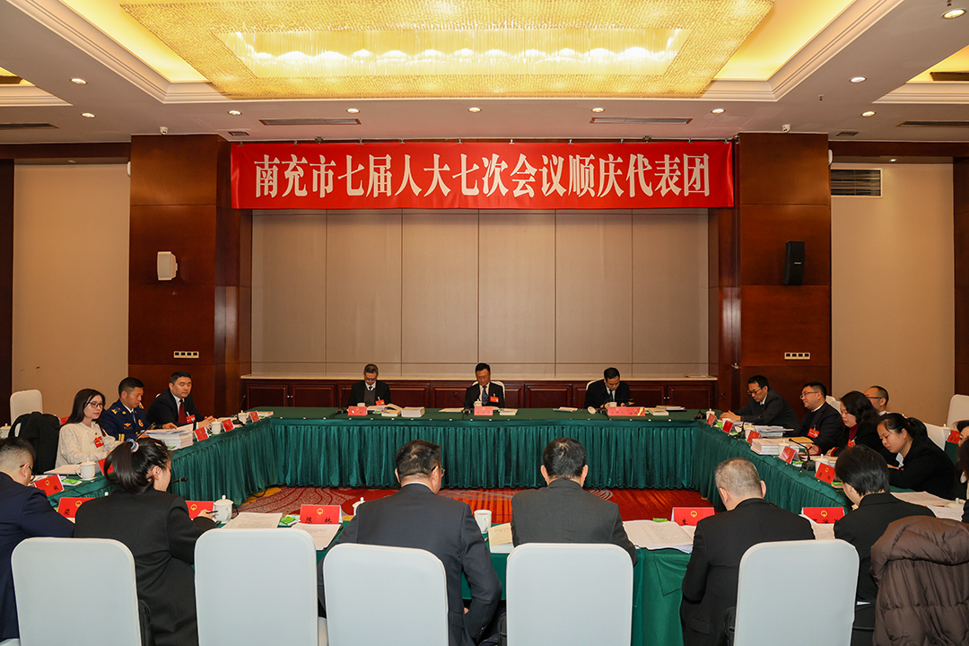 市七届人大七次会议继续进行分团审议