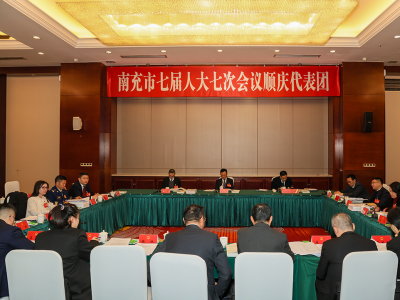 市七届人大七次会议继续进行分团审议