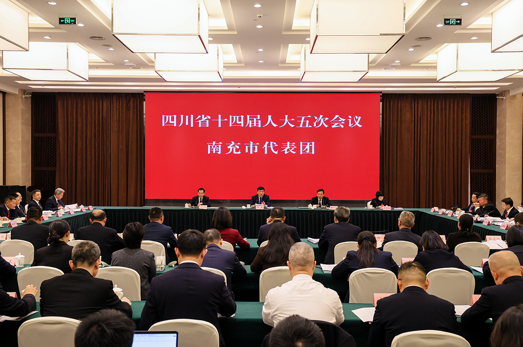 罗强参加四川省第十四届人民代表大会第五次会议南充市代表团审议