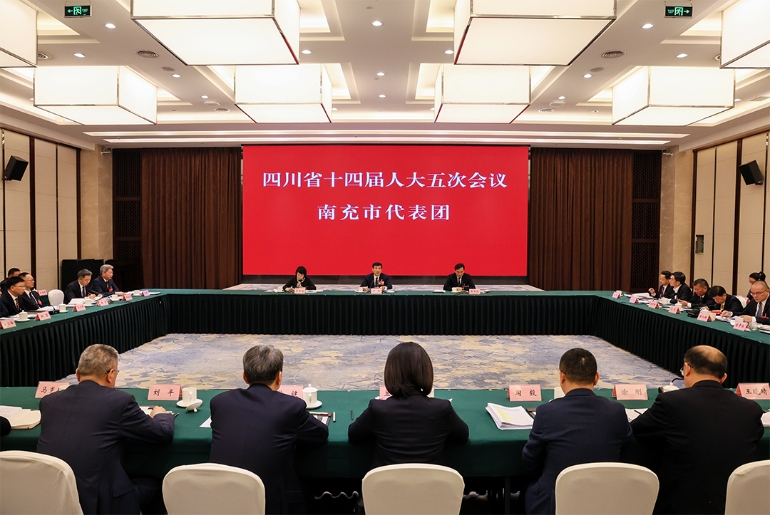四川省第十四届人民代表大会第五次会议南充市代表团审议四川省人民代表大会常务委员会工作报告等报告