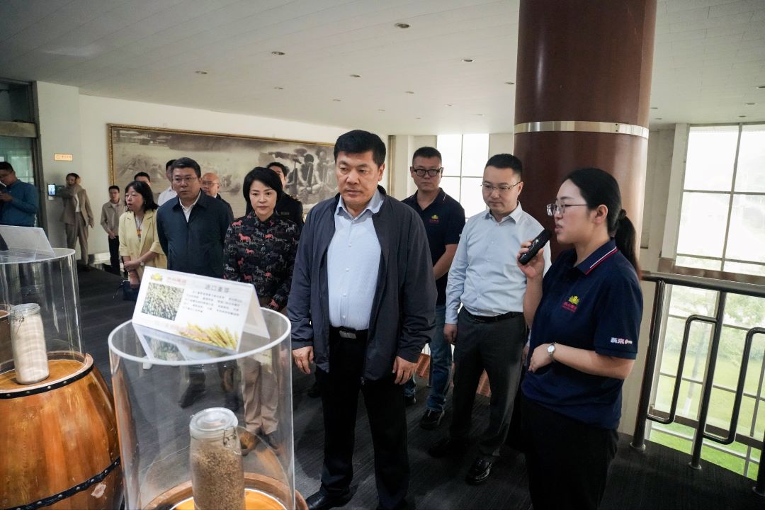 罗强赴南充调研人大代表守护食品安全活动和人大与青春同行活动开展情况